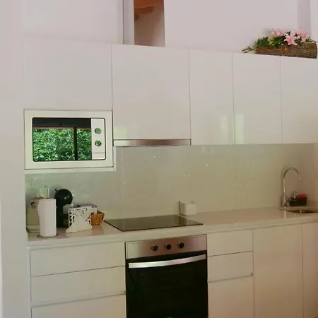 Casa Rosa, Quinta Carmo - Alcobaca/nazare דירה