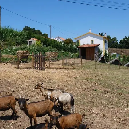 Casa Rosa, Quinta Carmo - Alcobaca/nazare אלקובאקה