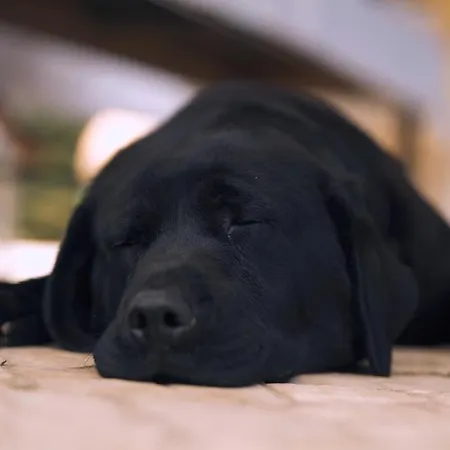 Appartement Casa Rosa, Quinta Carmo - Alcobaca/nazare Alcobaça