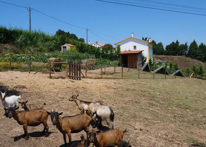 Casa Rosa, Quinta Carmo - Alcobaça/nazaré Alcobaça