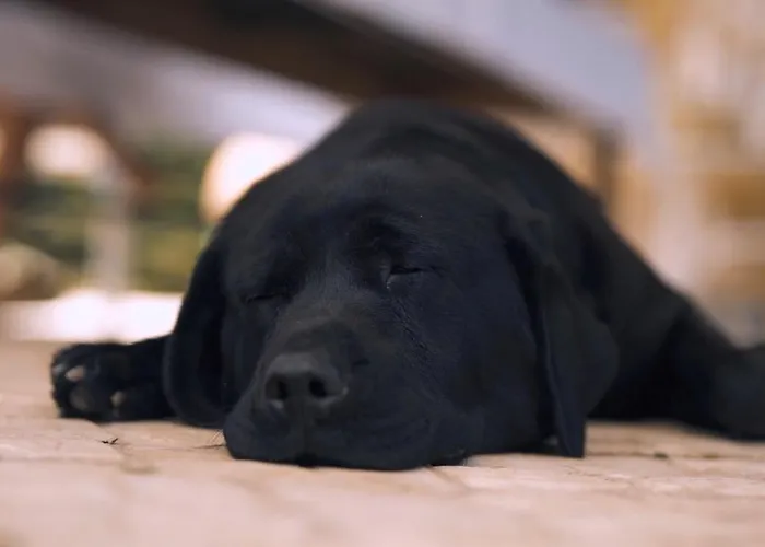 Apartamento Casa Rosa, Quinta Carmo - Alcobaça/nazaré Alcobaça